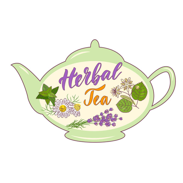 Teapot with Lettering composition Herbal Tea. Vector illustration with chamomile, branch of linden, mint and lavender bouquet. - Vector, Imagen