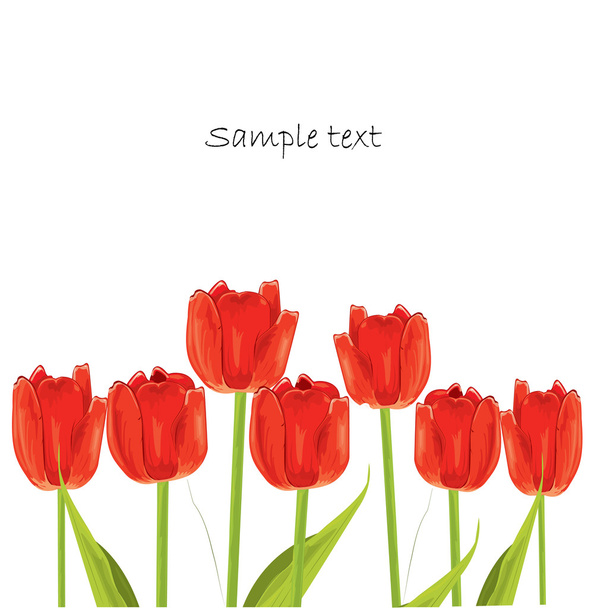 red tulip spring card - ベクター画像