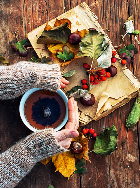 Τα χέρια με μια κούπα τσάι φθινόπωρο φρούτων - Φωτογραφία, εικόνα