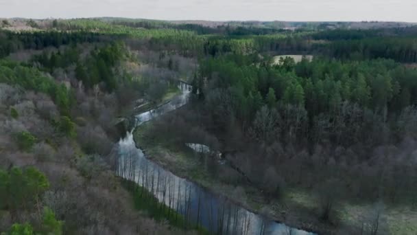 Letecký pohled na malou řeku protékající lesem ve Warmii, severním Polsku, Evropě - Záběry, video