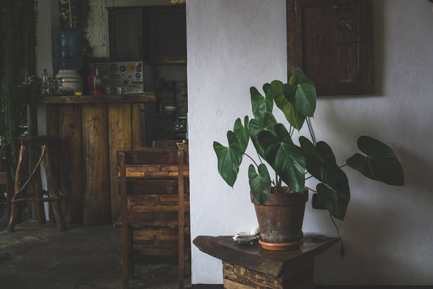 Вінтаж виглядає на відкритій кухні з дерев'яними меблями та рослинами. Ретро стиль кухонне місце
 - Фото, зображення