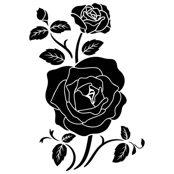 sylwetka czarny róża kwiat dekoracja wektor ilustracja tło - Wektor, obraz