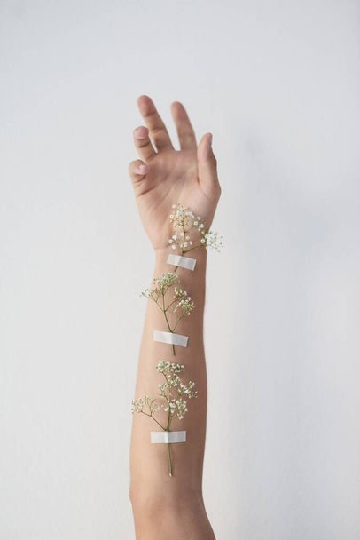 Grow with me. Cropped shot of plants taped to an unrecognizable persons raised arm. - Foto, imagen