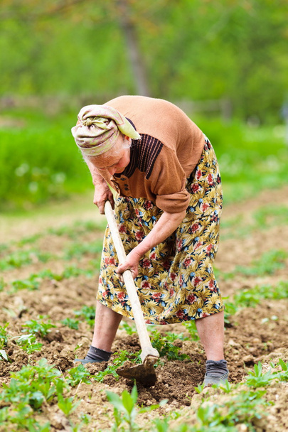 Old rural woman working the land - Φωτογραφία, εικόνα