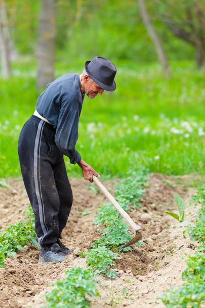 Old farmer working the land - Фото, изображение