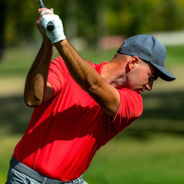 Golf swing, professional golfer, rear view - Foto, immagini