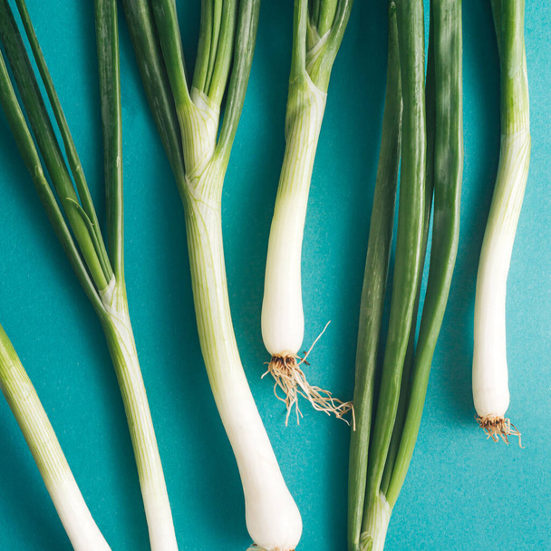 young onion with leaves lying on a blue background. - Foto, Imagem