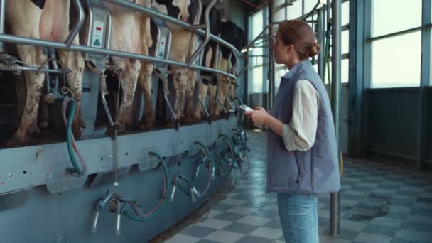 Farmer control milking process holding tablet computer. Modern dairy facility. - Footage, Video