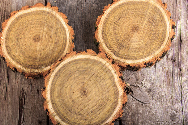 Reihe von Baumstümpfen rund geschnitten mit Jahresringen - Foto, Bild