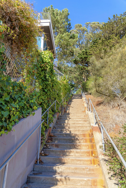 Schody obok budynku mieszkalnego z winoroślami na ogrodzeniu w San Francisco, Kalifornia. Schody z betonowymi schodami i metalową poręczą przed budynkiem mieszkalnym na zboczu z drzewami. - Zdjęcie, obraz