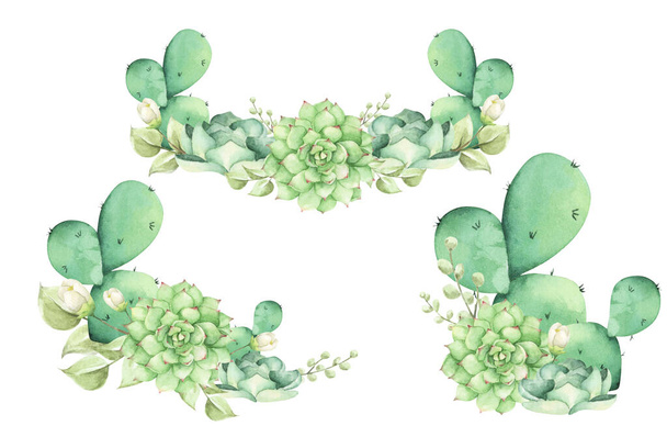Floral bunches. Succulent bouquets. Watercolor illustration. Isolated on white background. Romantic floral hand drawn illustration. - Zdjęcie, obraz