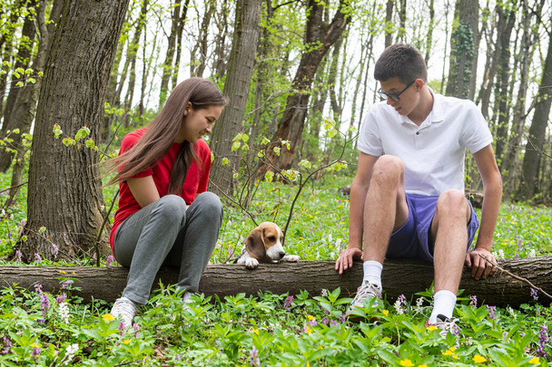 Una joven pareja caucásica está sentada en un árbol caído en el bosque y disfrutando de su perro beagle. Grabado por la mañana en un día soleado. - Foto, imagen
