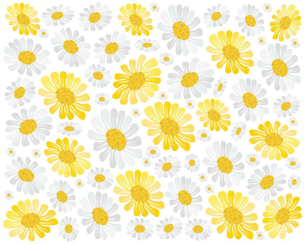 Symbol of Love, Illustration Background of Yellow and White Cosmos Flowers or Cosmos Bipinnatus Isolated on White Background - Vector, imagen
