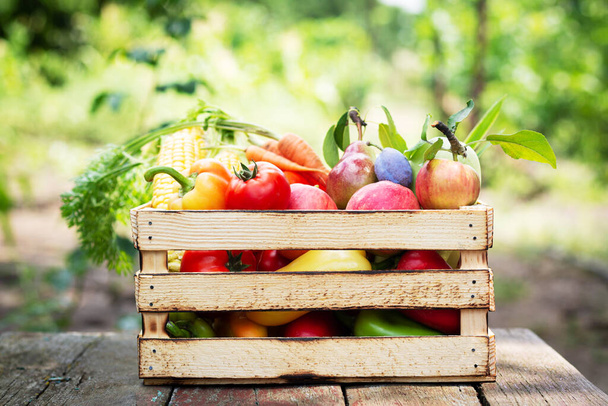 Fresh organic vegetables and fruit in wooden crate. Healthy food on garden background - Foto, immagini