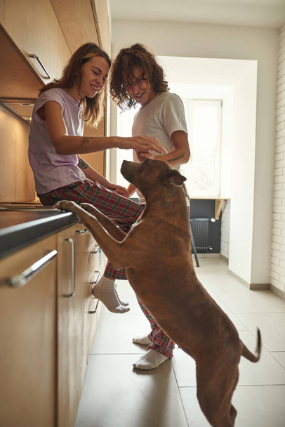 Man and girl caressing and looking at dog at home - Foto, imagen