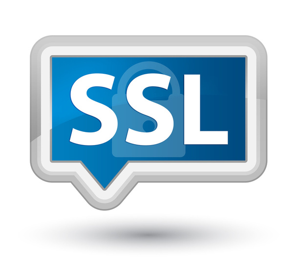 SSL mavi bayrak düğmesini - Fotoğraf, Görsel
