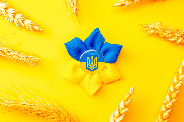 Ukraine flag symbol background. Ukrainian flower trident symbol with wheat grain ear isolated on yellow banner. Support Ukraine concept - Photo, Image