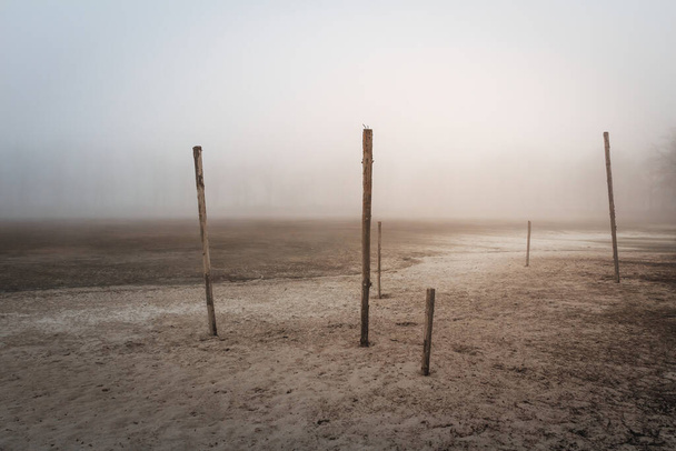 Wooden stick in sand dry pond ground under misty fog at sunset. Apocalyptic, horror, tranquil czech landscape - 写真・画像
