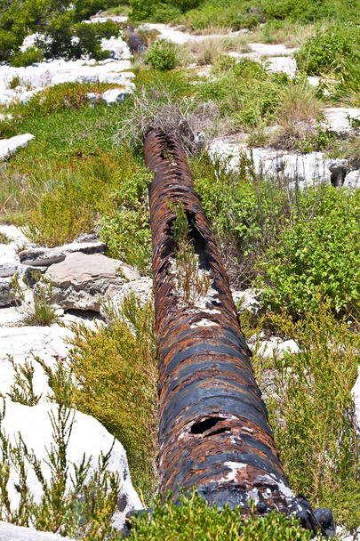 Old rotten pipes - Photo, Image