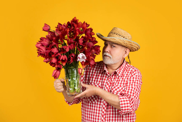 serious old retired man in hat hold spring tulip flowers on yellow background - Fotoğraf, Görsel