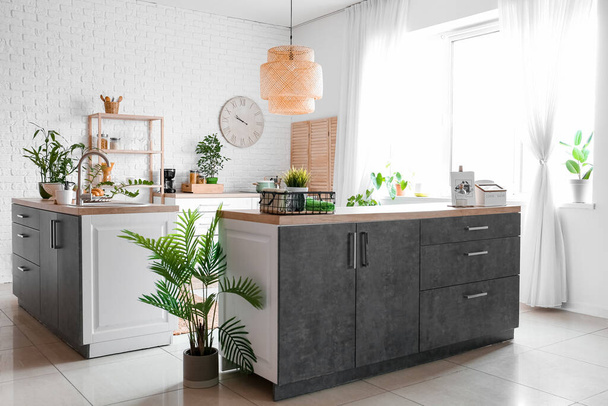 Interior of modern kitchen with counters, houseplants and clock - Foto, Imagen