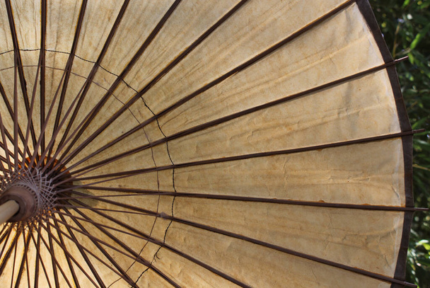 Antika Asya Biçimli Kağıt Şemsiyesi Kapat - Fotoğraf, Görsel