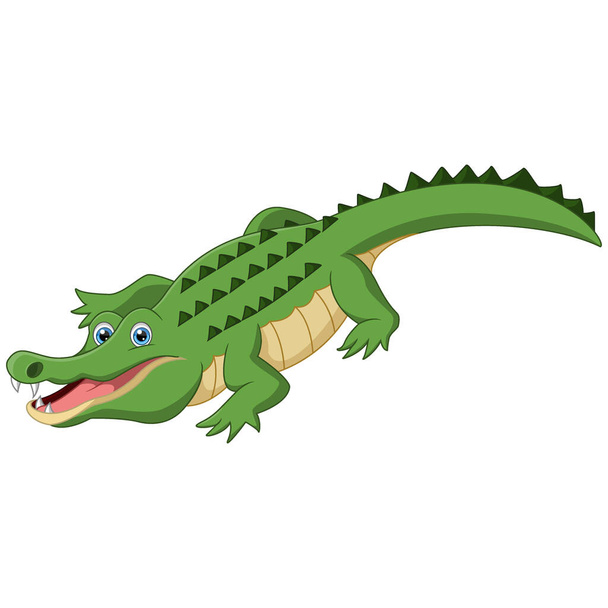 Ilustración vectorial de dibujos animados de cocodrilo lindo sobre fondo blanco - Vector, imagen