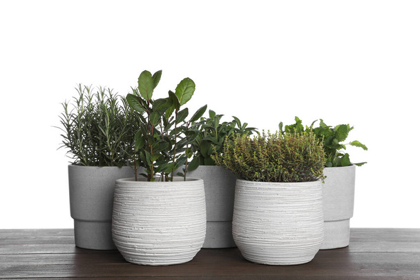 Pots with thyme, bay, sage, mint and rosemary on wooden table against white background - Foto, immagini