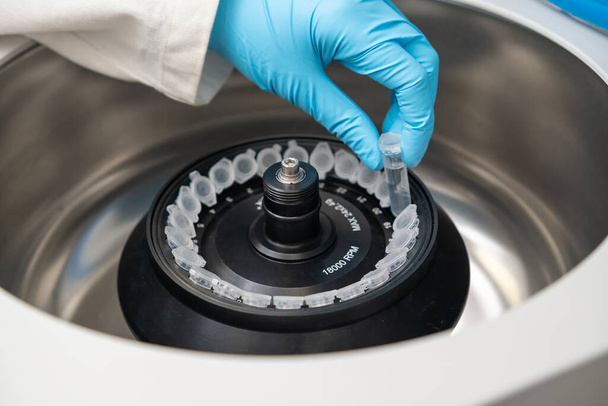 Científico pone tubos de microcentrifugadora en centrifugadora para separación de fase  - Foto, Imagen
