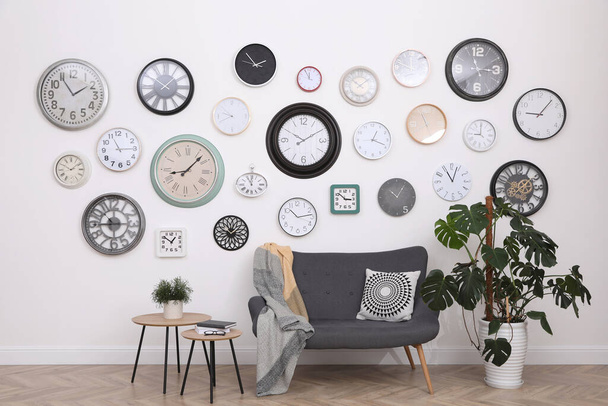 Comfortable furniture, beautiful houseplant and collection of different clocks on white wall in room - Photo, Image