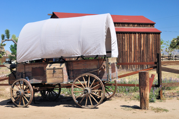 Covered wagon - Photo, Image