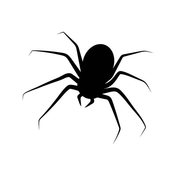Spider icon design template ilustration vector - Vector, imagen