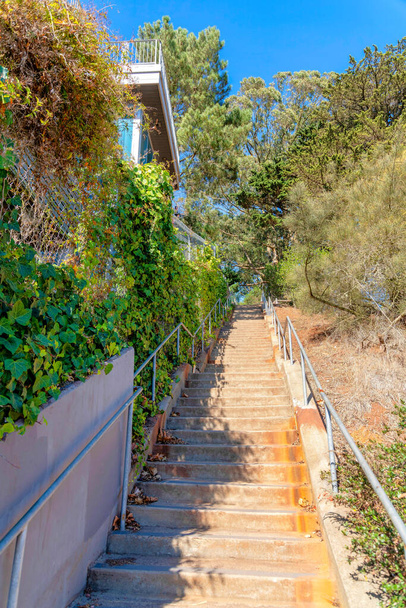 Treppenhaus neben dem Wohnhaus mit Weinreben am Zaun in San Francisco, Kalifornien. Treppe mit Betonstufen und Metallgeländer außerhalb des Wohnhauses am Hang mit Bäumen. - Foto, Bild