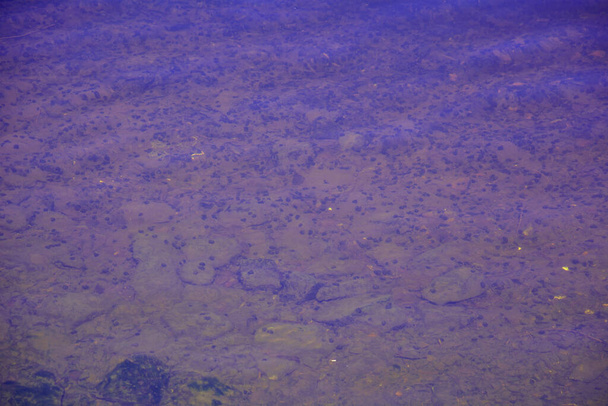 Fondo de hermoso río azul grande en primavera - Foto, imagen