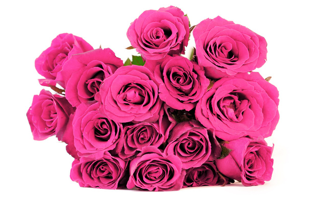 fantasy pink roses bouquet on white background - Photo, Image