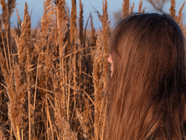 Mooi millennial meisje met lang blond haar op droge riet pampas gras achtergrond. Jonge vrouw met natuurlijke bruine haarkleur op leeg strand zonsondergang. Haarstijl verven palet. Vrouwelijk portret echte mensen. - Foto, afbeelding