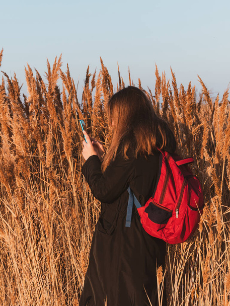 Pretty young woman in black coat with backpack smartphone on pampas grass sunset sky dry reeds. Millennial long hair girl walking spending time alone. Lifestyle real people with mobile device outdoor. - Foto, Imagem