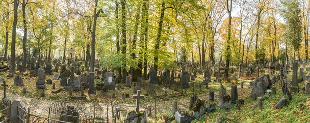 Panoramic view of the cemetery - Photo, Image