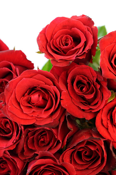 rote Rosen Strauß auf weißem Hintergrund - Foto, Bild