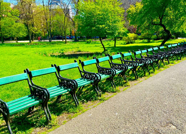 Row of benches in Cismigiu park in the capital city of Bucharest - Photo, image