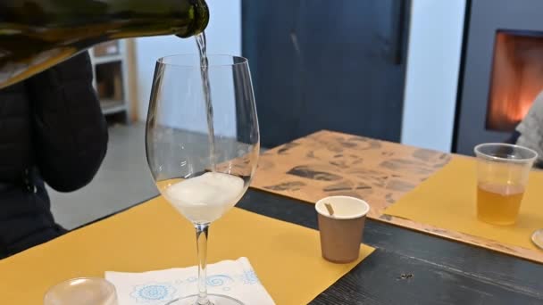 Imágenes en cámara lenta del vertido de vino espumoso en una copa de cata: numerosas burbujas se liberan en la parte inferior del vaso, creando una espuma clara. - Metraje, vídeo