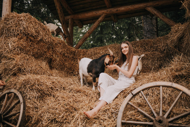 The girl is sitting in the hay with goats. Photo session with animals. Summer vacation in the mountains. - Фото, изображение