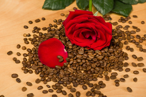 красная роза на кофейных семян и деревянный фон
 - Фото, изображение