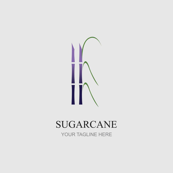 Шаблон логотипа сахарного тростника - Вектор,изображение