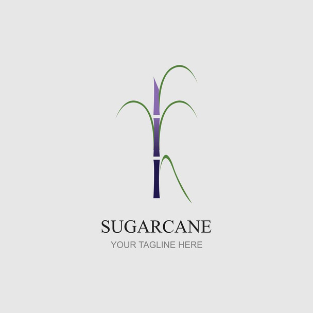Modèle vectoriel de conception d'illustration de symbole d'icône de canne à sucre - Vecteur, image