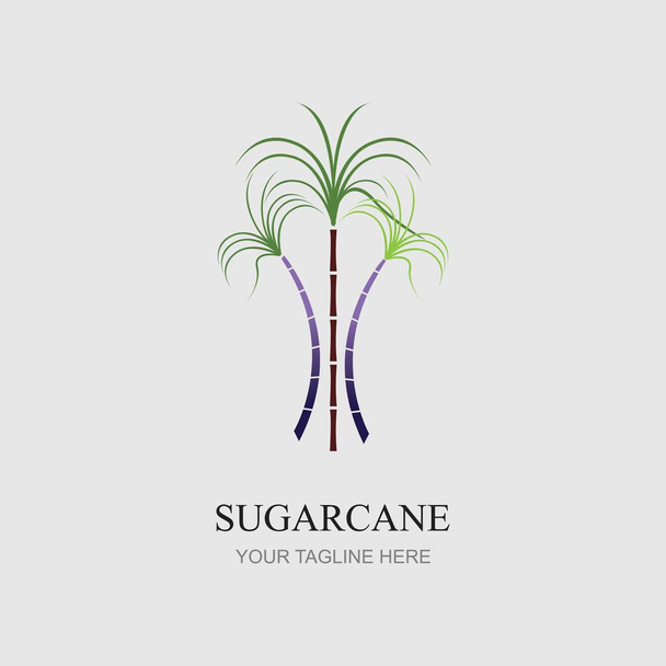 Шаблон логотипа сахарного тростника - Вектор,изображение