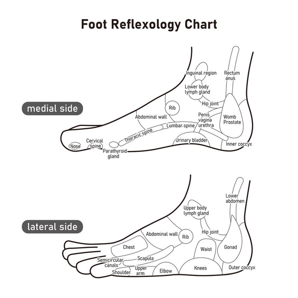 It is a monochrome illustration of the reflex zone on the side of the foot.Easy-to-use vector material. - Vektör, Görsel
