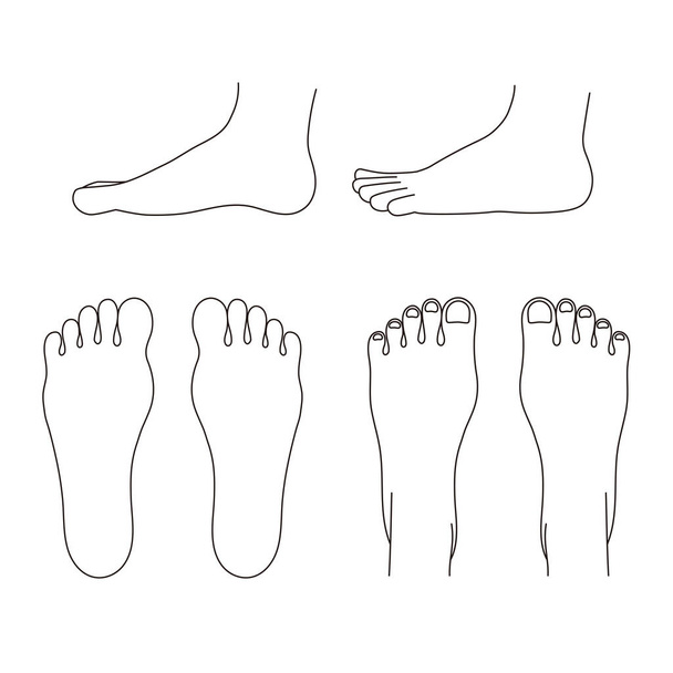It is a simple monochrome illustration of the sole, instep, and side of the foot.Easy-to-use vector material. - Vektör, Görsel