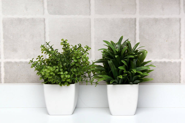 Minimalist masaüstü veya mutfak arka planı olarak gri kareleri olan yeşil bitkilerle dolu beyaz kaplar. - Fotoğraf, Görsel