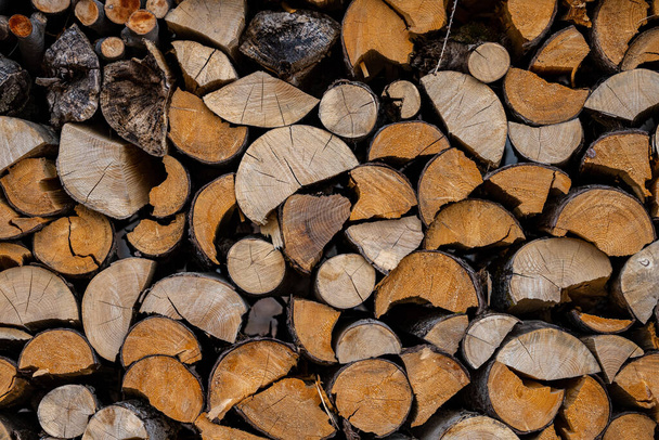 A pile of firewood drying before winter - Foto, immagini